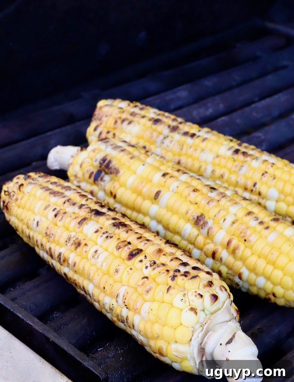 Fresh corn on the cob cooking on a hot outdoor grill, showing slight char marks forming on the kernels.