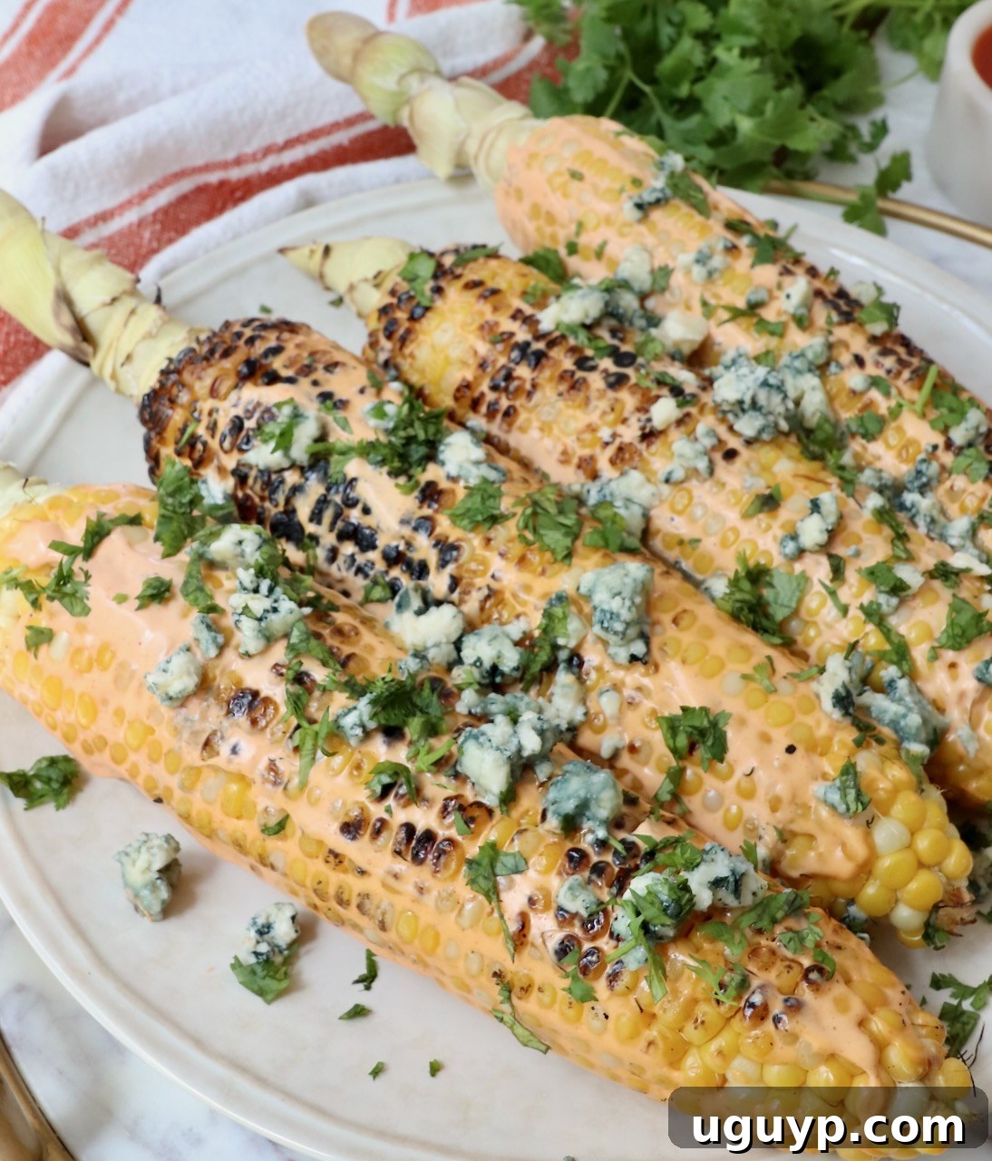 Close-up of grilled corn on the cob on a white plate, beautifully topped with melting blue cheese crumbles and freshly chopped green cilantro, ready for serving.
