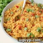yellow rice in a bowl with a spoon and fresh cilantro