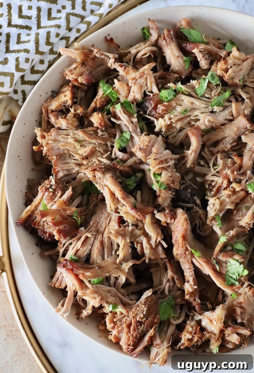 shredded pork carnitas in a bowl with fresh cilantro sprinkled on top