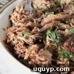 shredded pork carnitas in a bowl