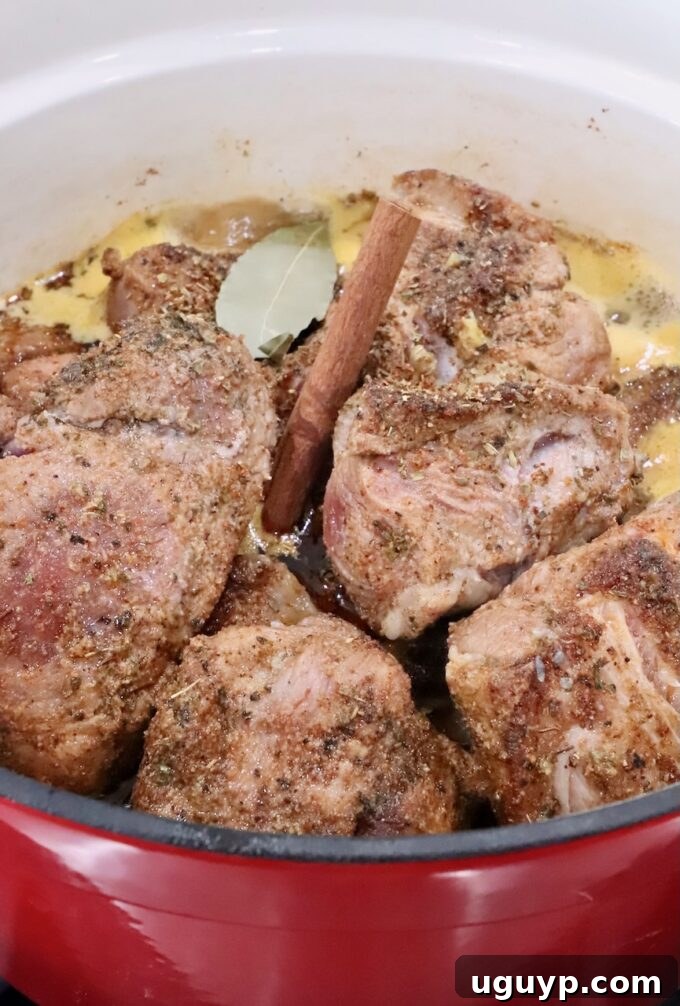 seasoned pieces of pork in a large cast iron dutch oven with liquid, cinnamon sticks and bay leaves