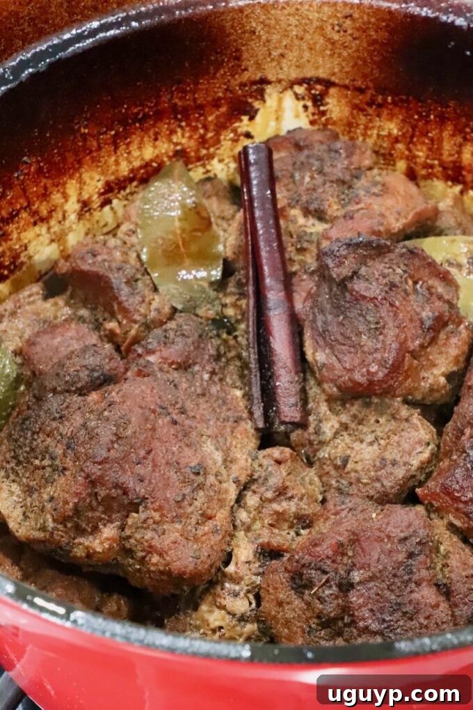 cooked pieces of pork in a large cast iron dutch oven with a cinnamon stick and bay leaves