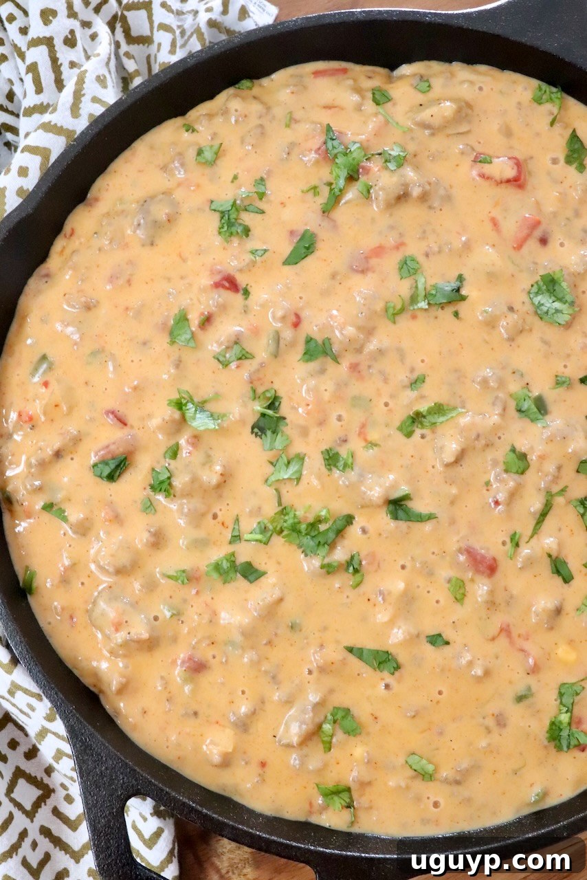 smoked queso in a skillet topped with fresh cilantro