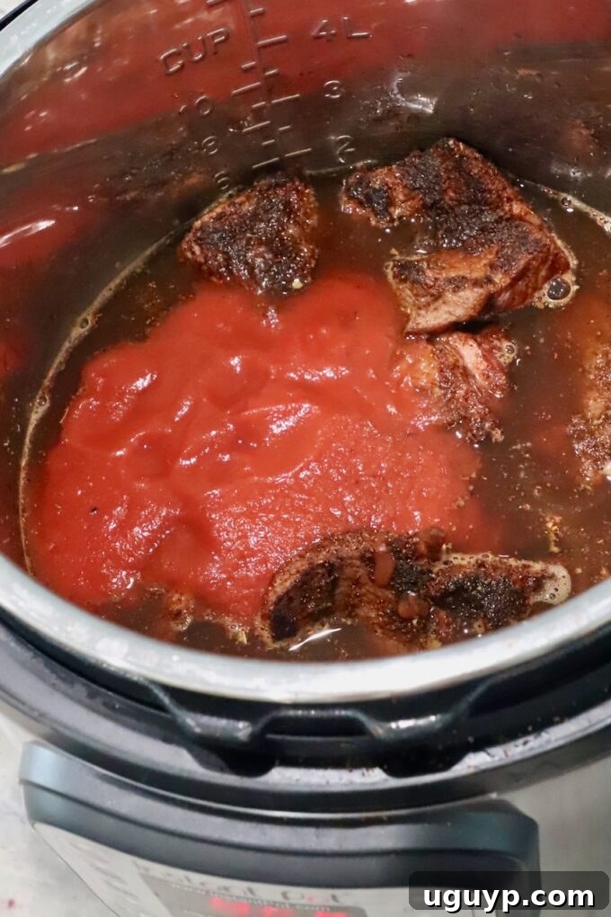 Instant Pot filled with seared beef, beef broth, apple cider vinegar, and tomato sauce, ready for pressure cooking.