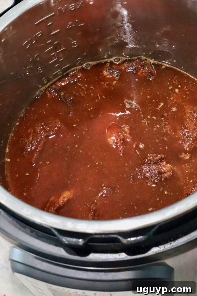 Beef chunks fully submerged in the flavorful birria liquid inside the Instant Pot, prepared for cooking.
