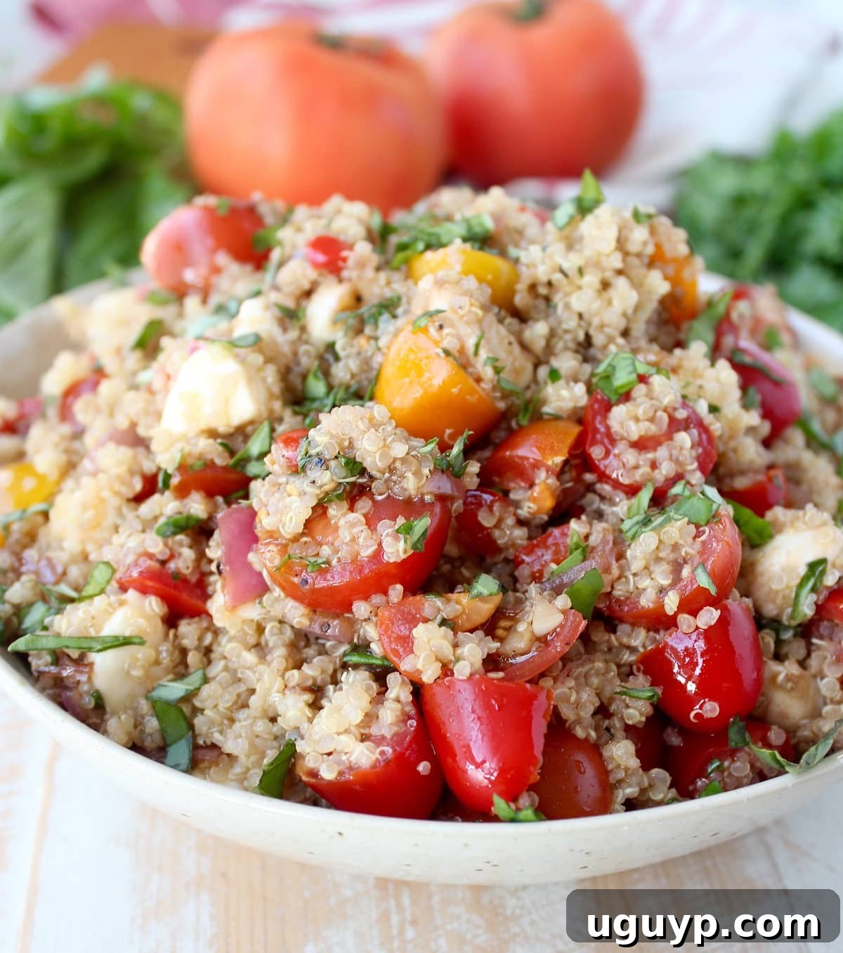 A beautifully presented Quinoa Caprese Salad in a white bowl, garnished with fresh basil.