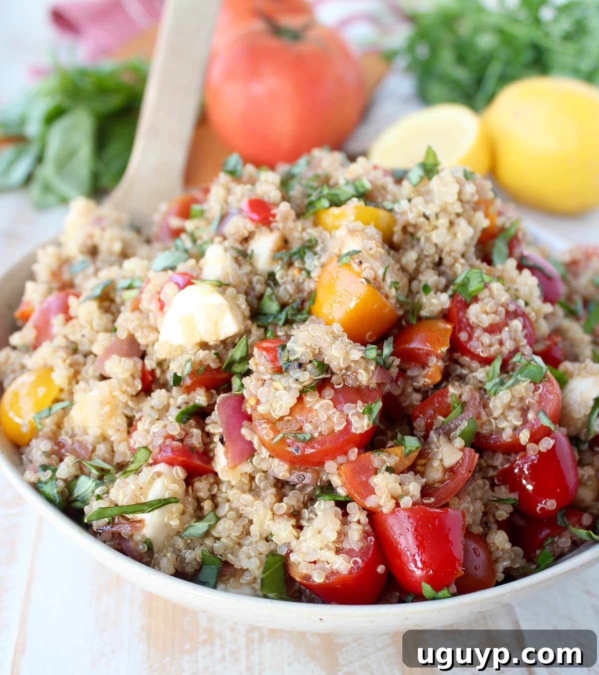 A vibrant Quinoa Caprese Salad, ready to serve, in a white bowl.