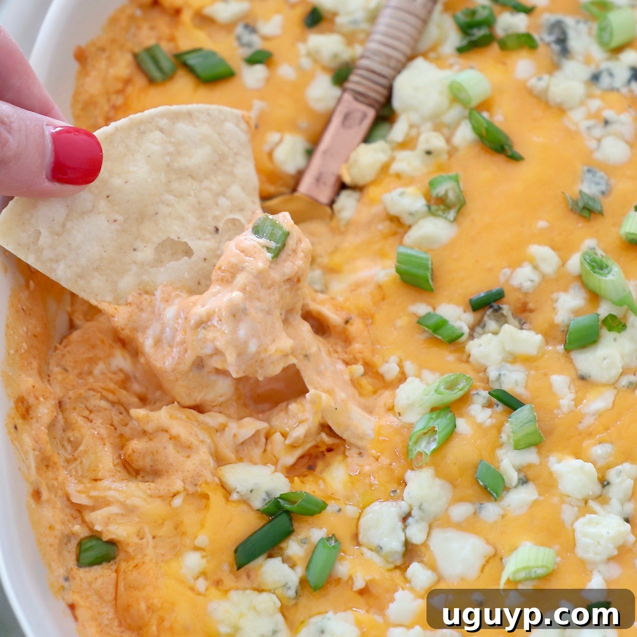 Hand scooping a chip into hot Buffalo Chicken Dip in a baking dish.
