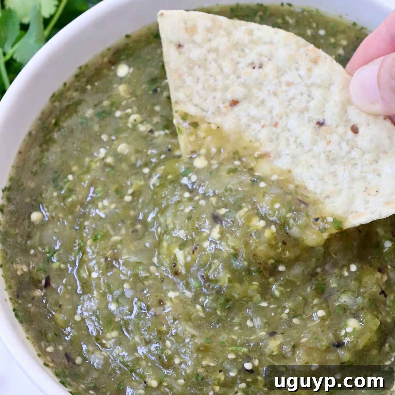 A hand dipping a tortilla chip into a bowl of fresh Tomatillo Salsa Verde.