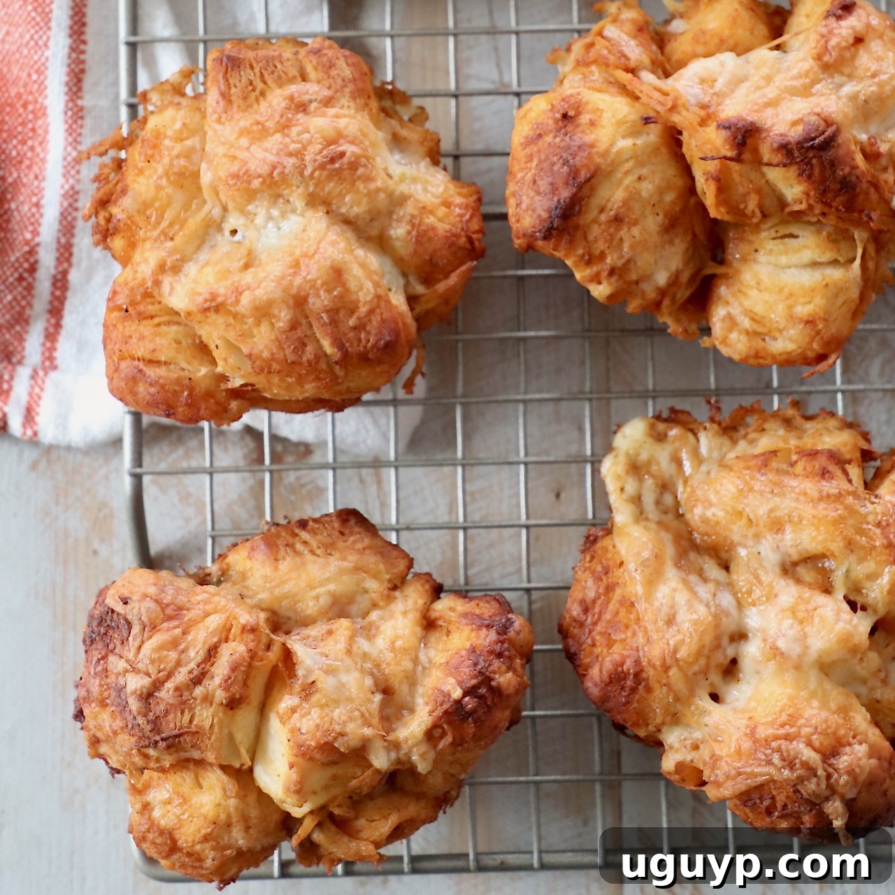 Pull apart Buffalo Chicken Rolls on a wire rack, cheesy and spicy.