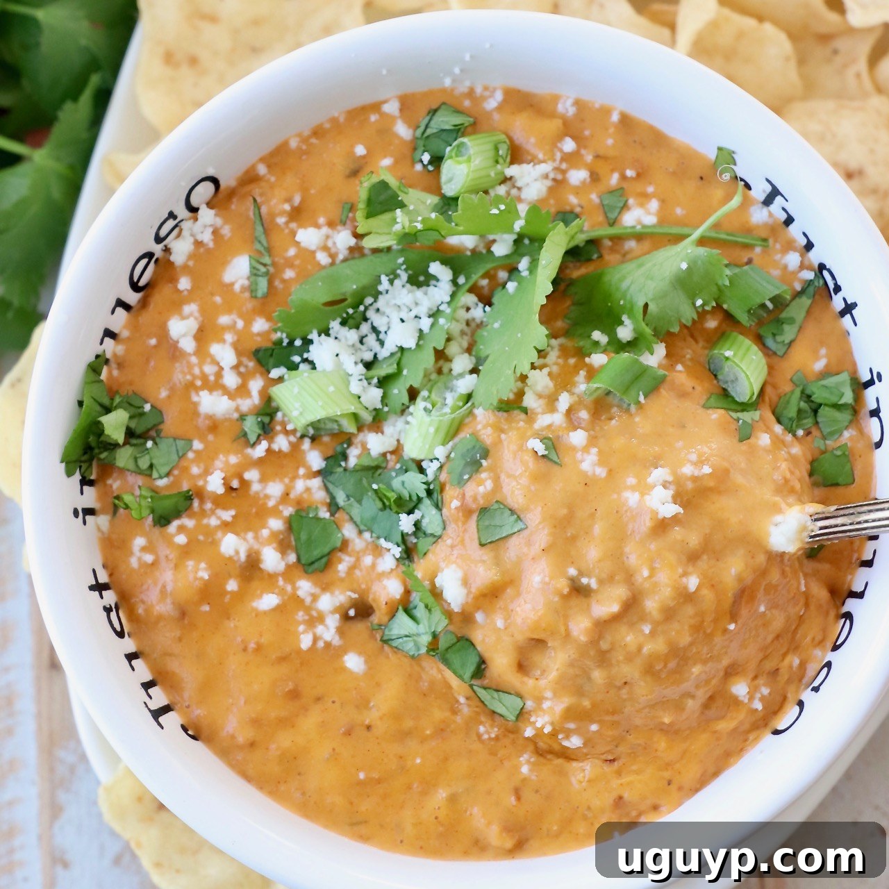 Green Chili Chorizo Queso dip in a bowl topped with fresh chopped cilantro.