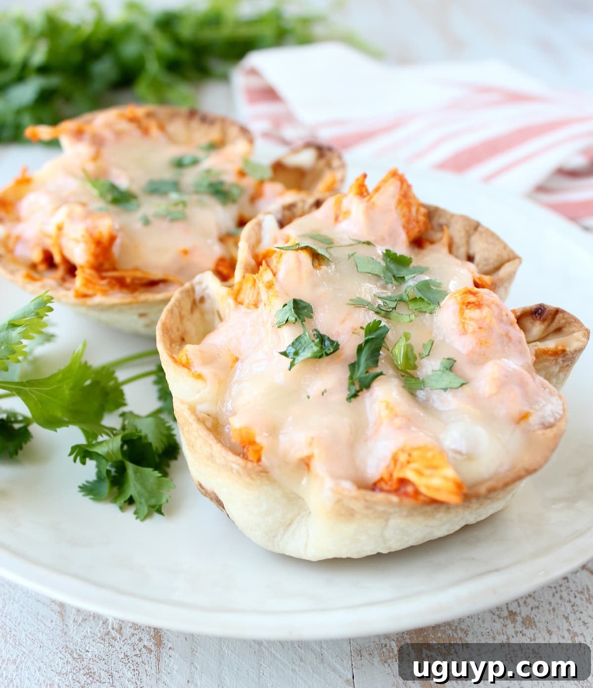 Buffalo Chicken Dip Taco Cups, crispy and individually portioned for easy serving.