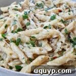 cooked penne pasta in a creamy sauce in a bowl