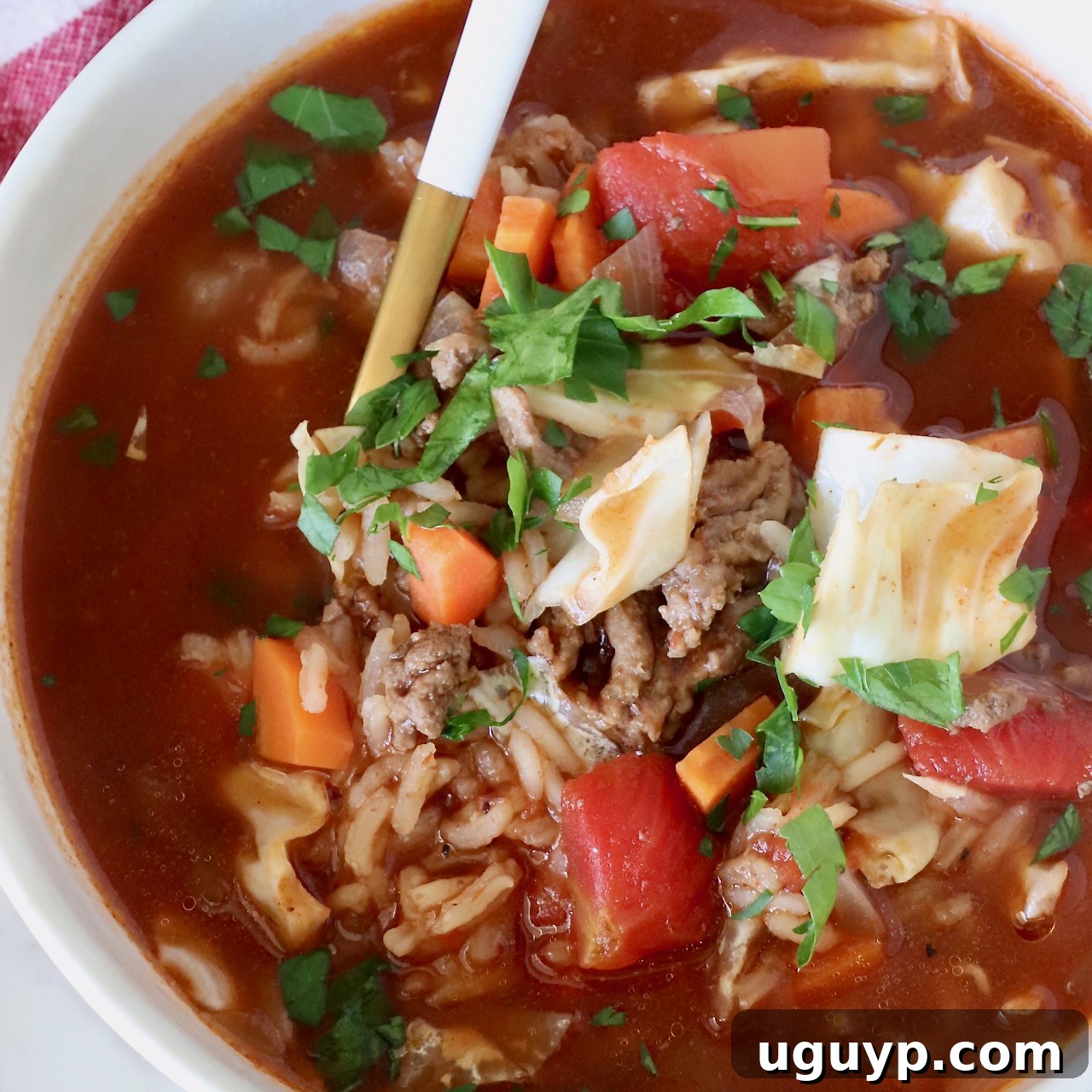 Hearty Cabbage Roll Soup served in a bowl, capturing the essence of traditional cabbage rolls in a comforting soup format.