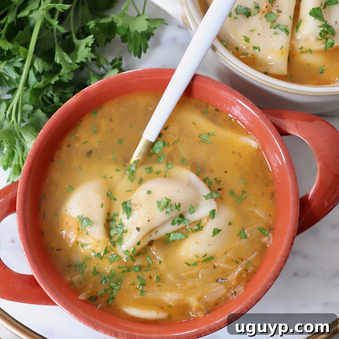 Comforting Pierogi Soup in a bowl with a spoon, showcasing the delicious pierogies and rich broth.