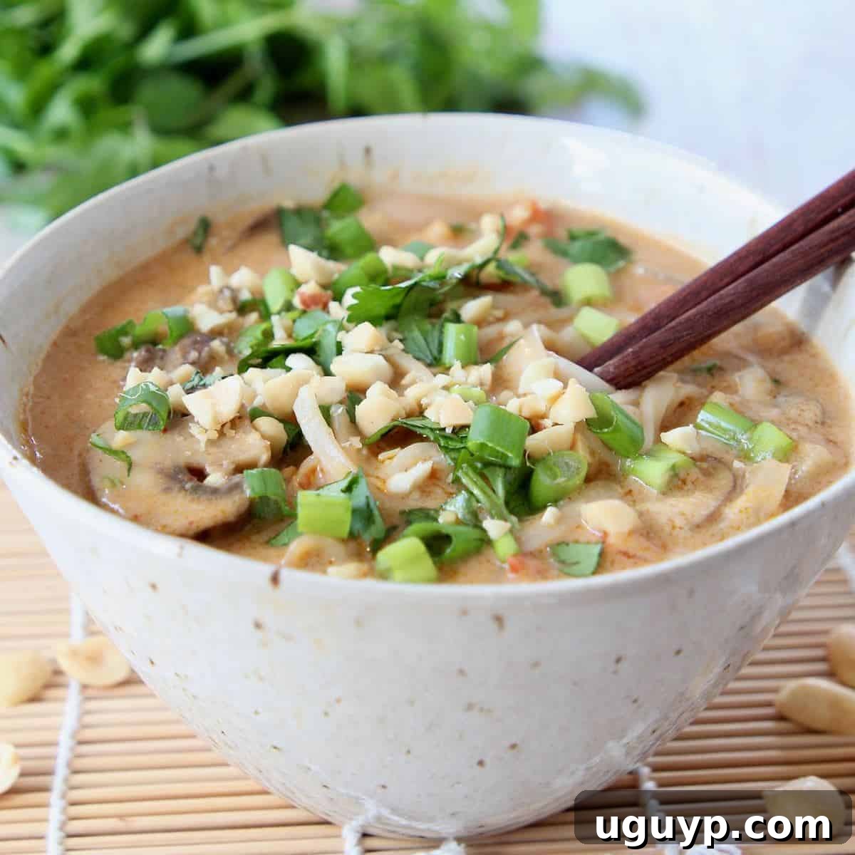 Fragrant Thai Noodle Soup in a bowl with brown chopsticks, inviting a flavorful dining experience.