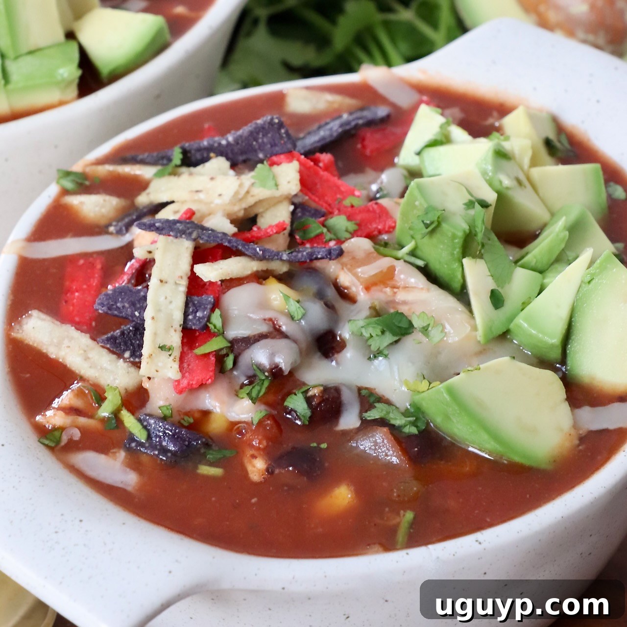 Hearty Southwest Chicken Soup in a bowl, topped with crispy tortilla strips and diced avocado for added freshness and texture.