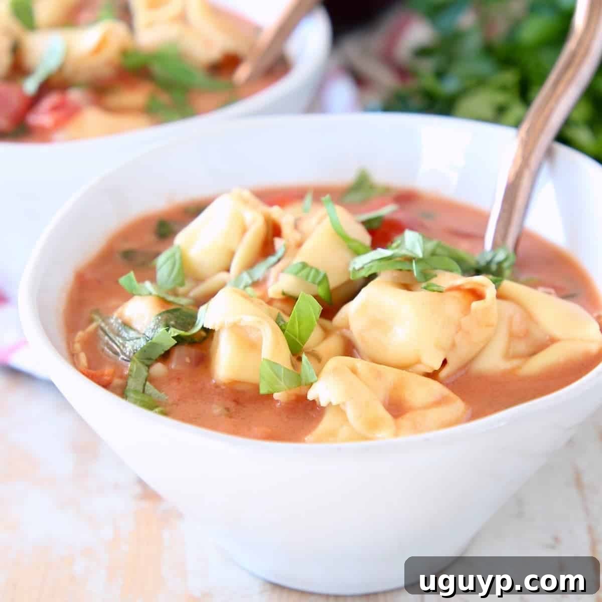 Creamy Tortellini Soup served in white bowls with copper spoons and fresh parsley garnish.