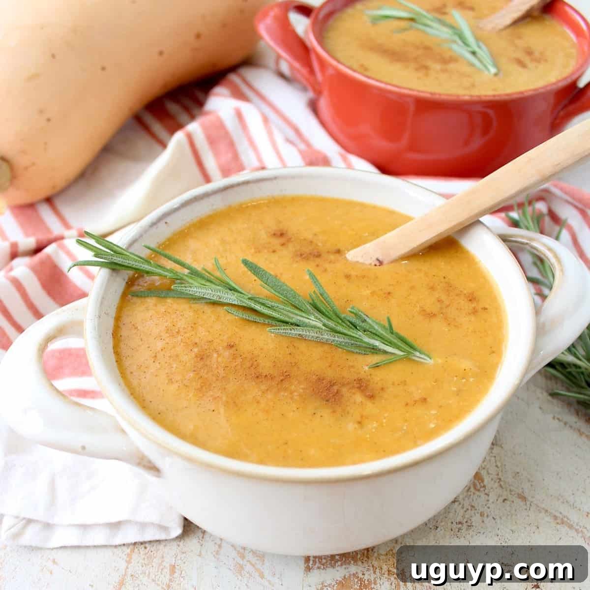 Chai Spiced Butternut Squash Soup is a delicious vegan & gluten-free recipe made in under 45 minutes, perfect for staying healthy during cold & flu season!