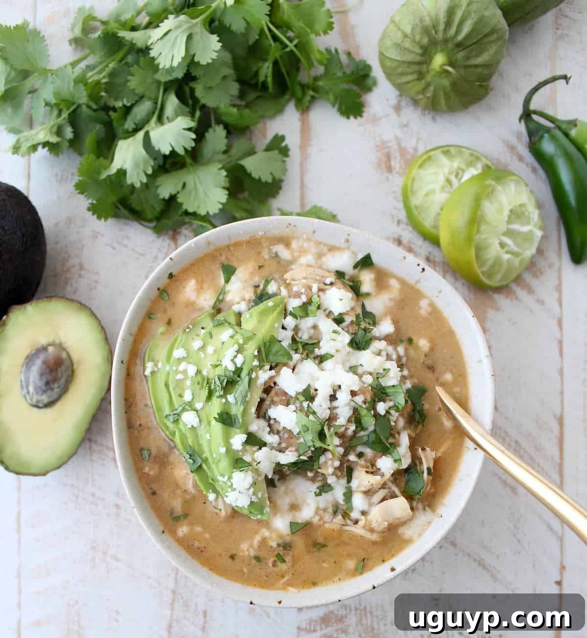 Flavorful Green Chili Chicken Enchilada Soup, made with roasted chilies, tomatillos, fresh herbs, and tender chicken, is sure to be your new favorite soup recipe!