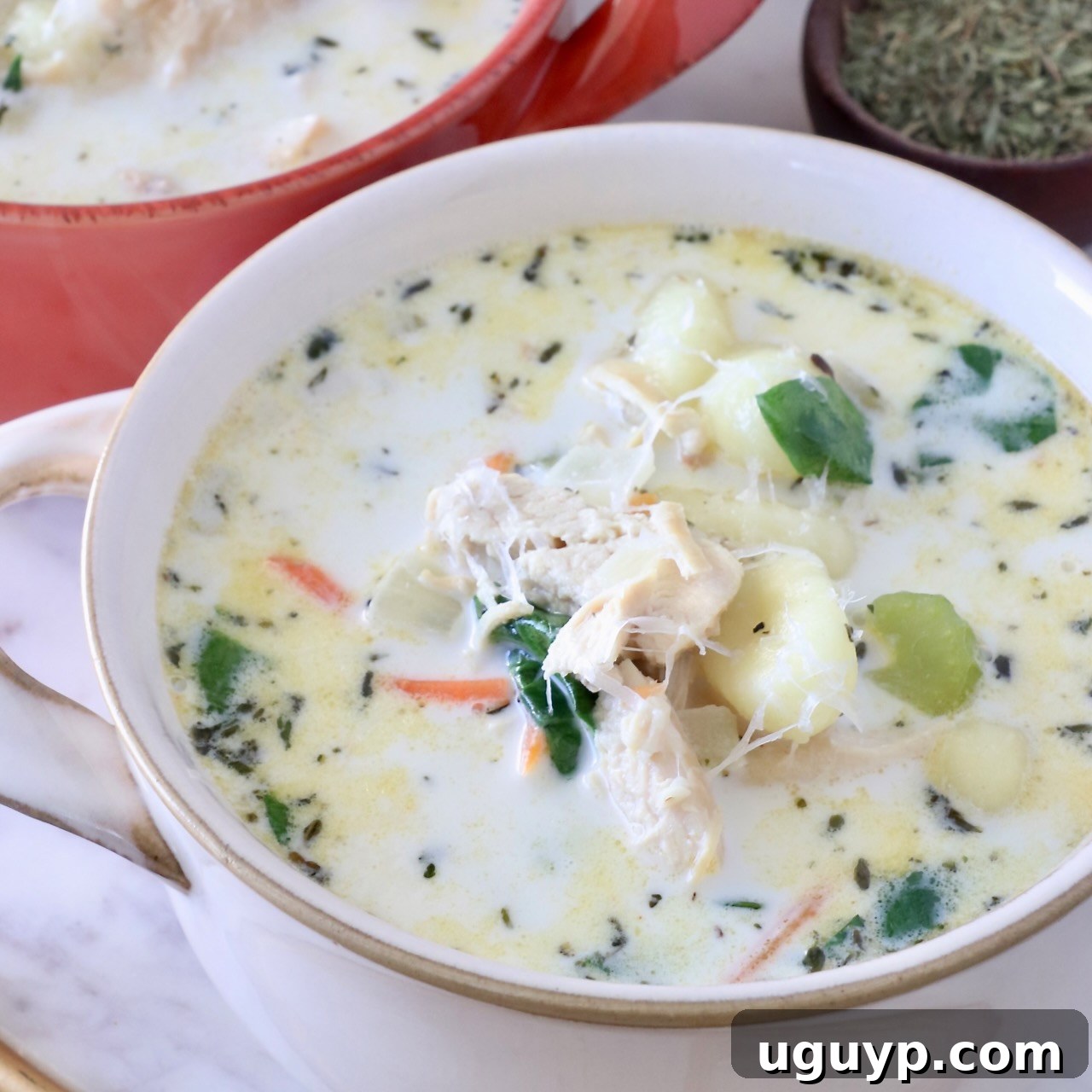 Creamy Chicken Gnocchi Soup served in a bowl, reminiscent of a classic Olive Garden favorite.