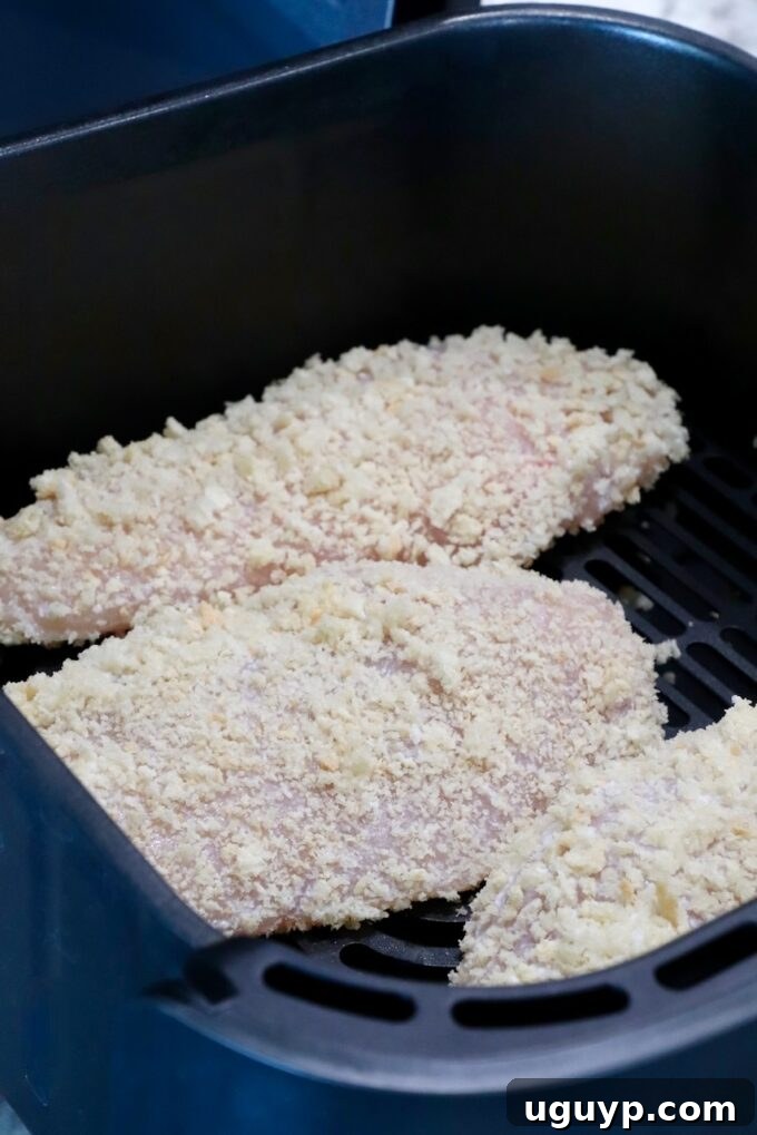 raw chicken breasts coated in breadcrumbs in an air fryer basket