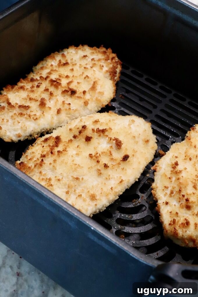 cooked crispy chicken breasts coated in breadcrumbs in an air fryer basket