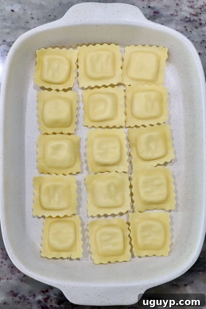 A white 9x13 inch baking dish neatly lined with uncooked refrigerated ravioli, forming the first layer of the casserole on a speckled countertop.