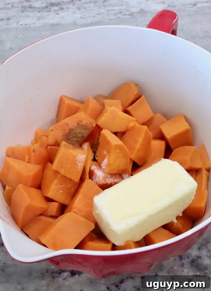 Cubed sweet potatoes with a stick of butter and sprinkled with spices, including salt and cinnamon, in a red mixing bowl on a marble counter.