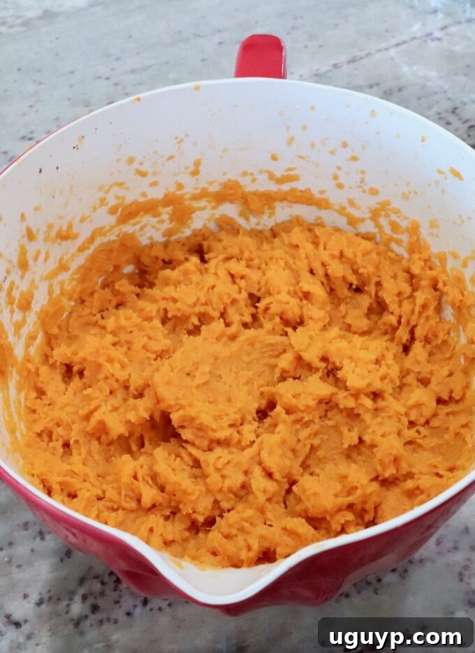 A red mixing bowl filled with smooth, bright orange mashed sweet potatoes sits on a speckled countertop