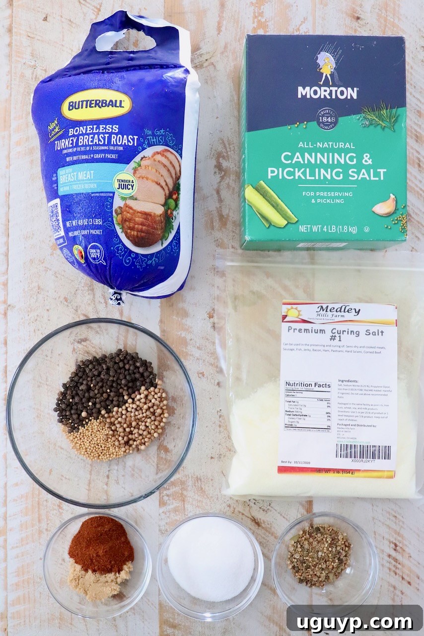 A curated selection of ingredients for crafting turkey pastrami, featuring a vacuum-sealed package of boneless turkey breast, alongside various salts including canning salt and crucial pink curing salt. Small bowls display an array of whole spices: vibrant black peppercorns, earthy mustard seeds, and aromatic paprika, essential for the distinctive pastrami flavor.