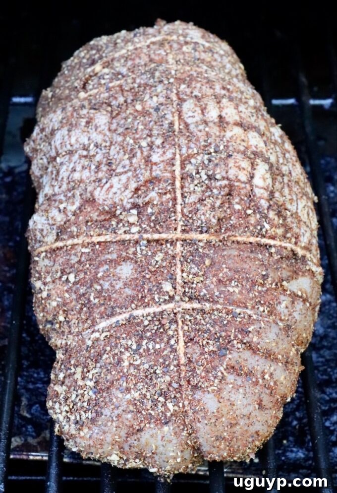 A meticulously seasoned turkey breast, expertly tied with butcher's twine, rests directly on the grates of a preheated smoker. The meat is generously coated with a rich, dark spice rub, creating a beautifully textured surface ready for smoking.