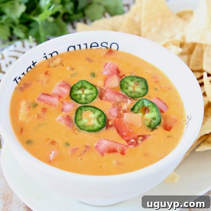 Queso dip in white bowl with tortilla chips on the side