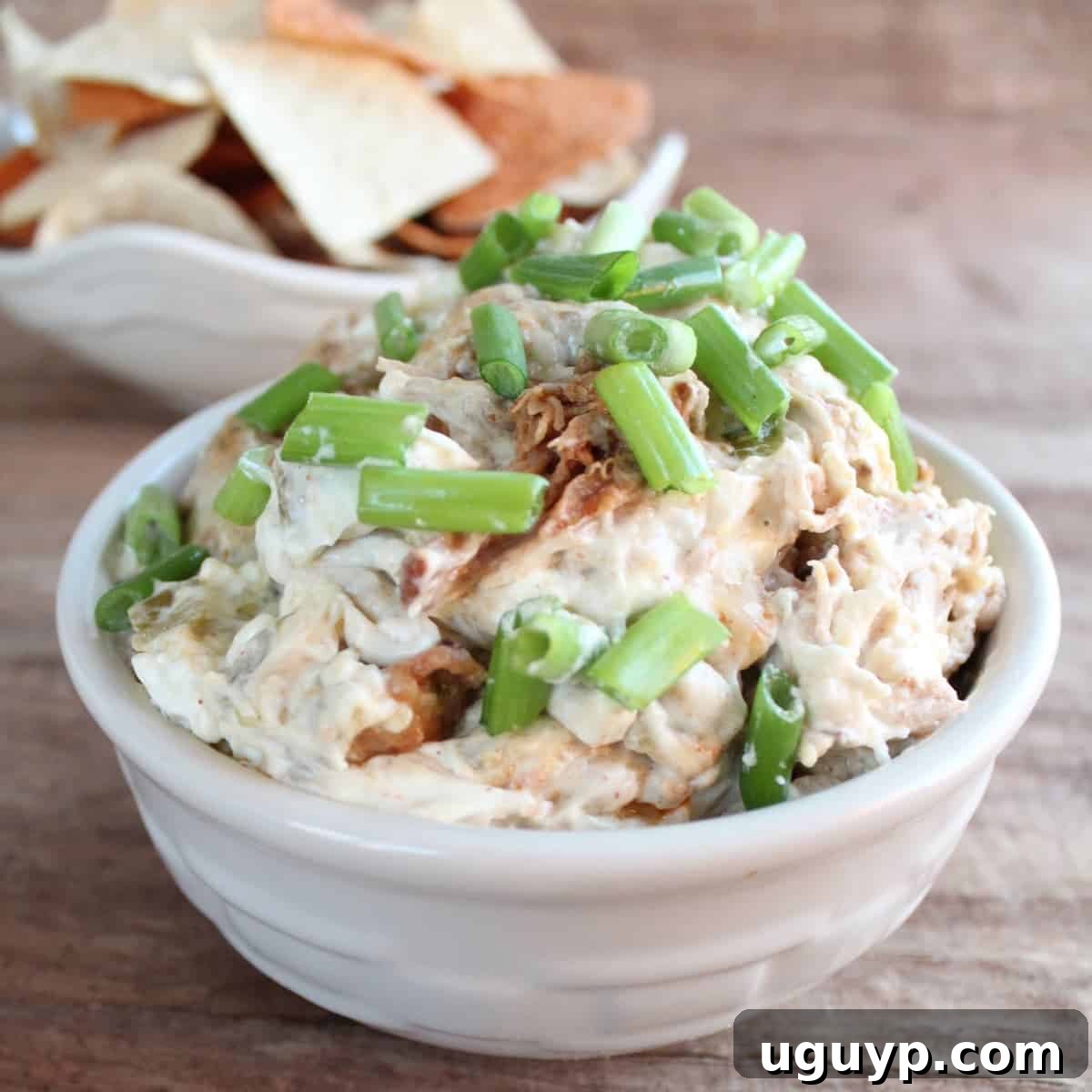 Chipotle Pulled Pork Dip