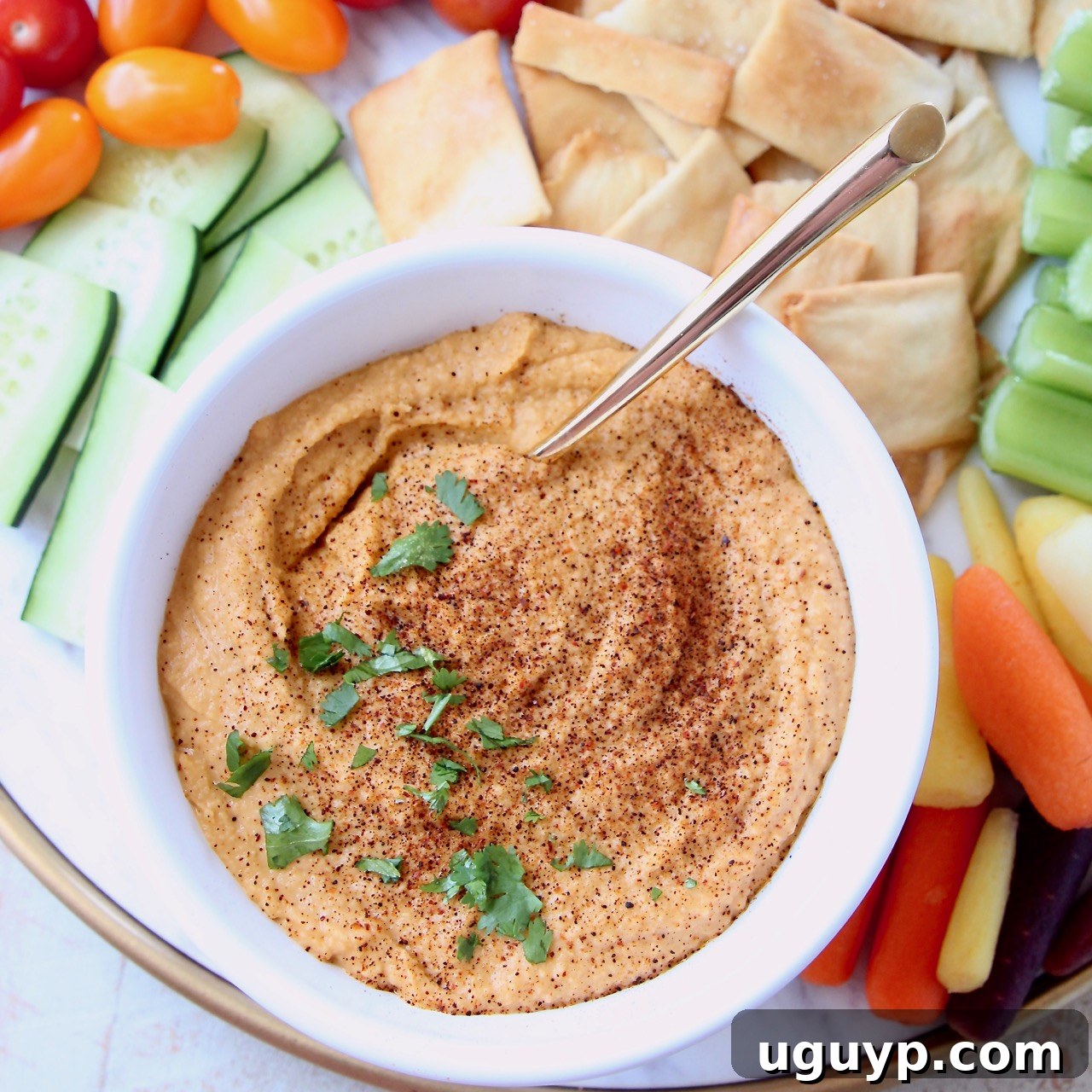 Spicy hummus in bowl topped with chopped cilantro and paprika