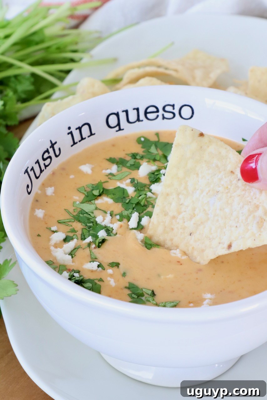 A bowl of queso dip is garnished with cilantro and cheese, labeled "Just in queso." A hand with red nail polish dips a tortilla chip in the dip. Fresh cilantro and chips are in the background.