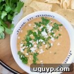 A bowl of creamy queso topped with cilantro and crumbled cheese is beside tortilla chips and cilantro leaves. The bowl reads "Just in queso."