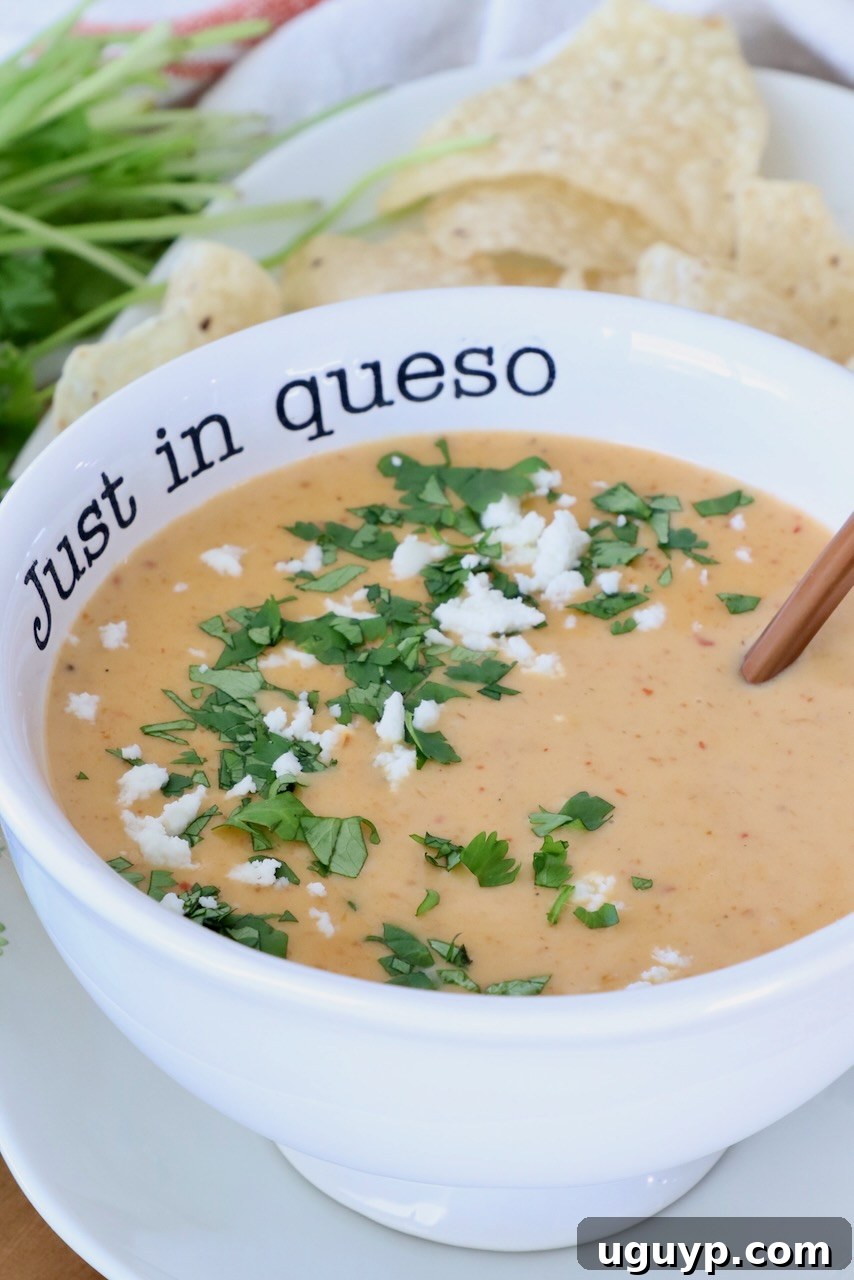 A bowl of creamy queso topped with chopped cilantro and crumbled cheese. The bowl has "Just in queso" written on it and is paired with tortilla chips.
