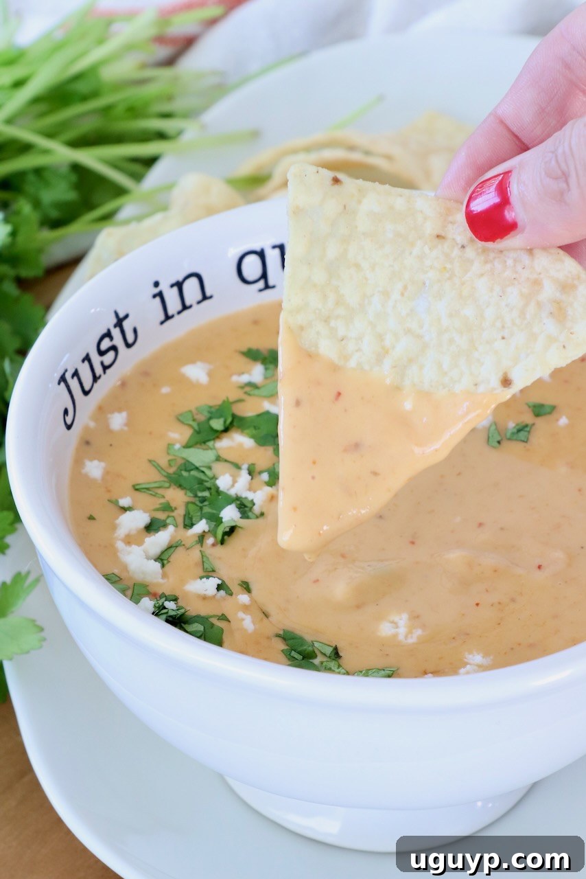 A hand with red nail polish dips a tortilla chip into creamy queso garnished with cilantro and queso fresco. A bowl reads "Just in queso."