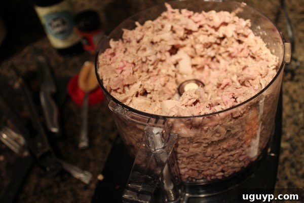 Close-up view of perfectly shredded Thai Peanut Pulled Pork.
