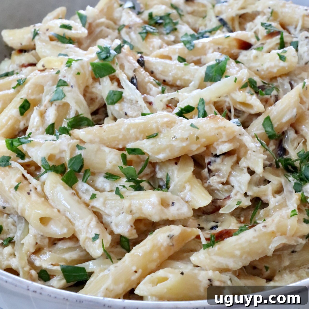 cooked penne pasta in a creamy sauce in a bowl