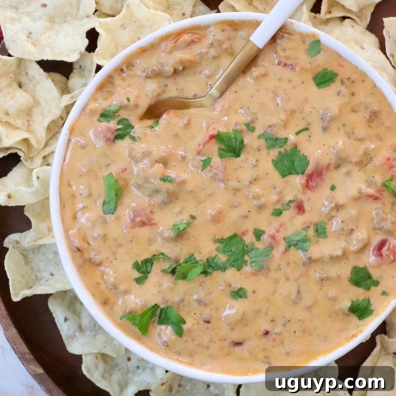 queso dip in a bowl with a spoon