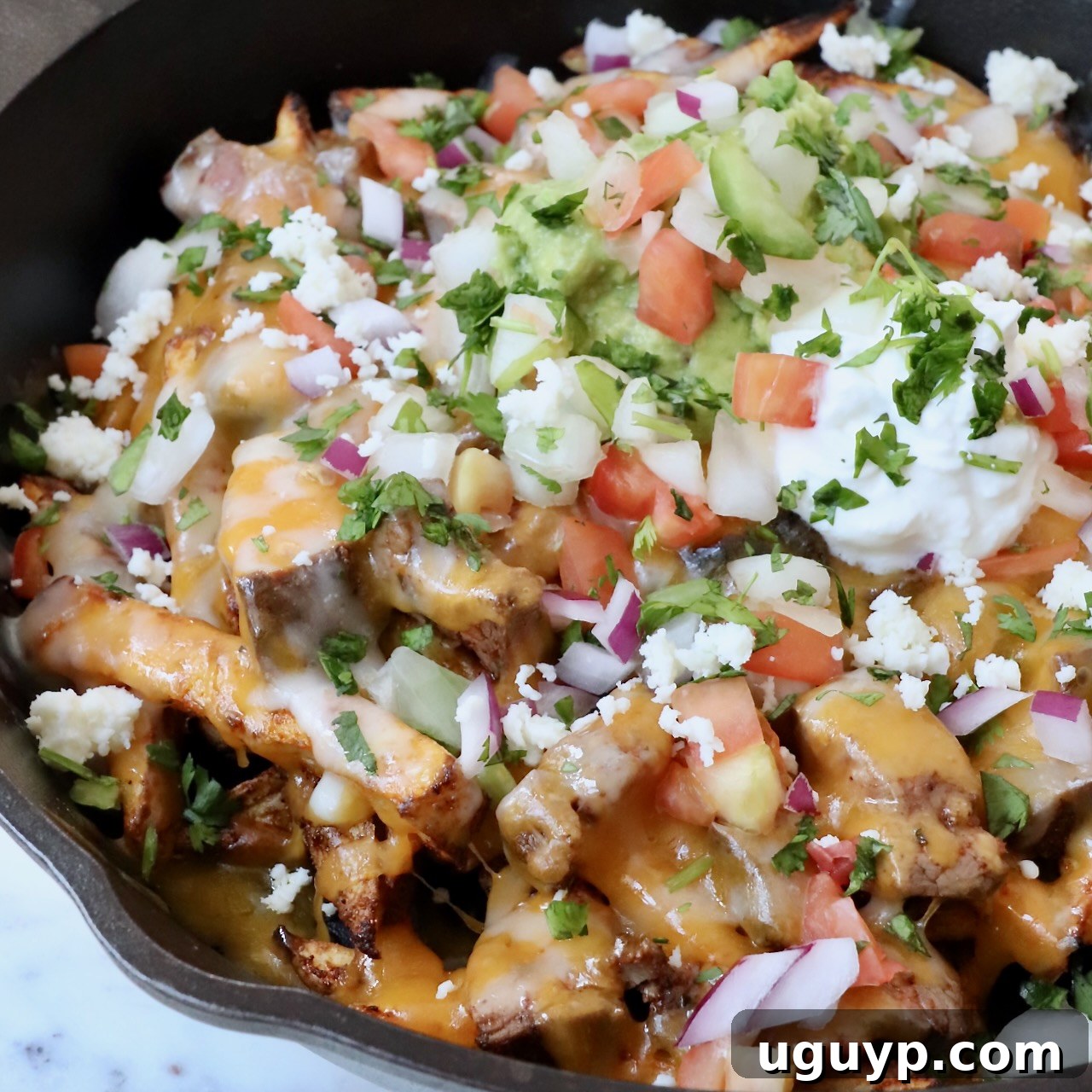 carne asada fries in cast iron skillet
