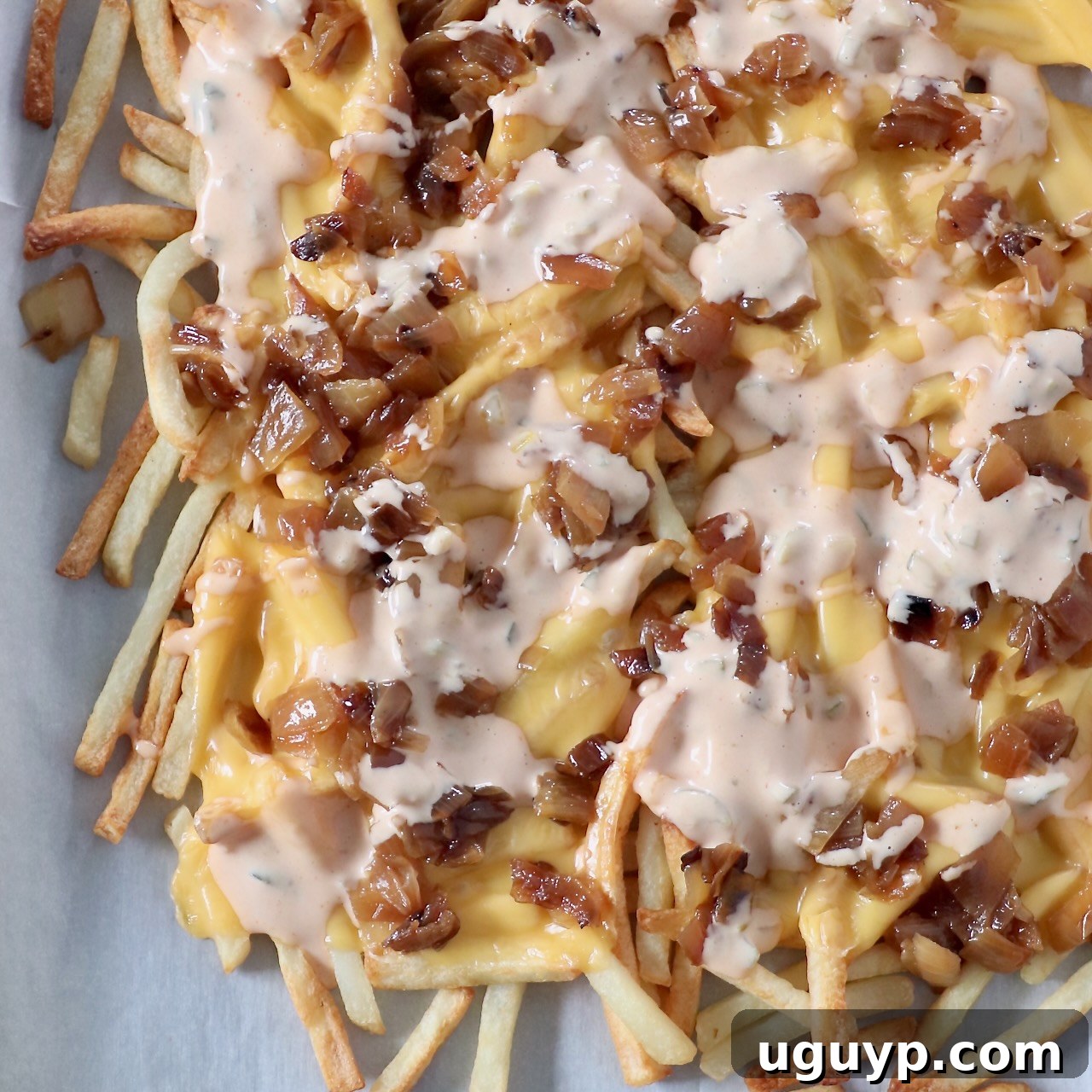 cooked fries covered in cheese, onions and sauce