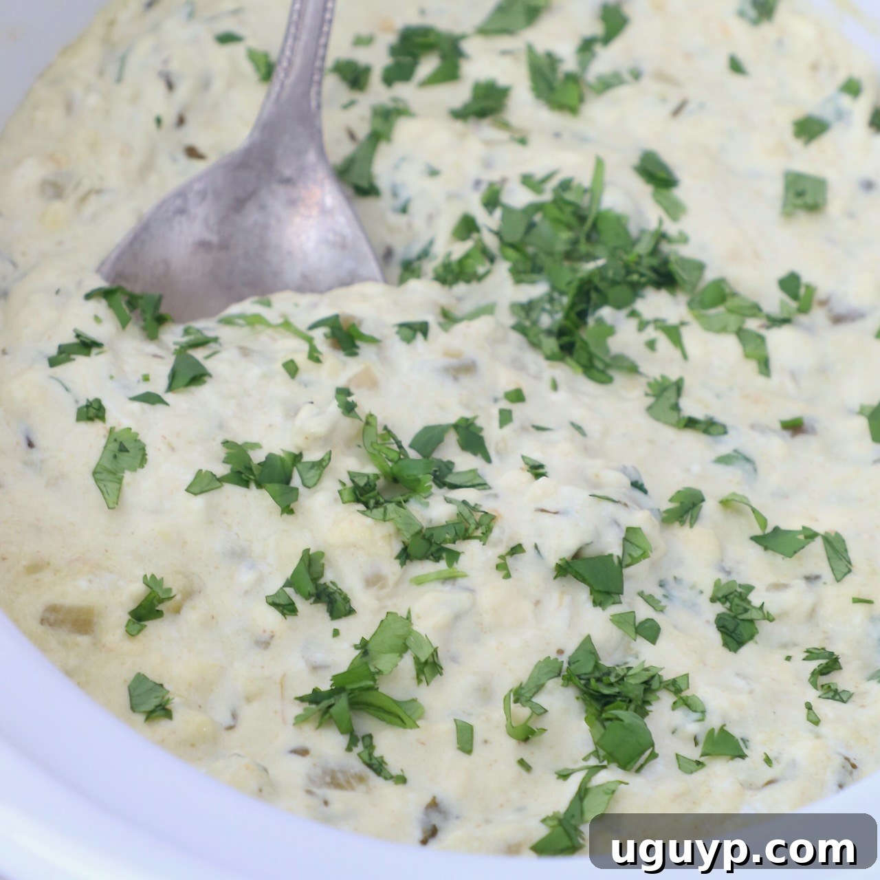 queso blanco in slow cooker topped with fresh cilantro with serving spoon