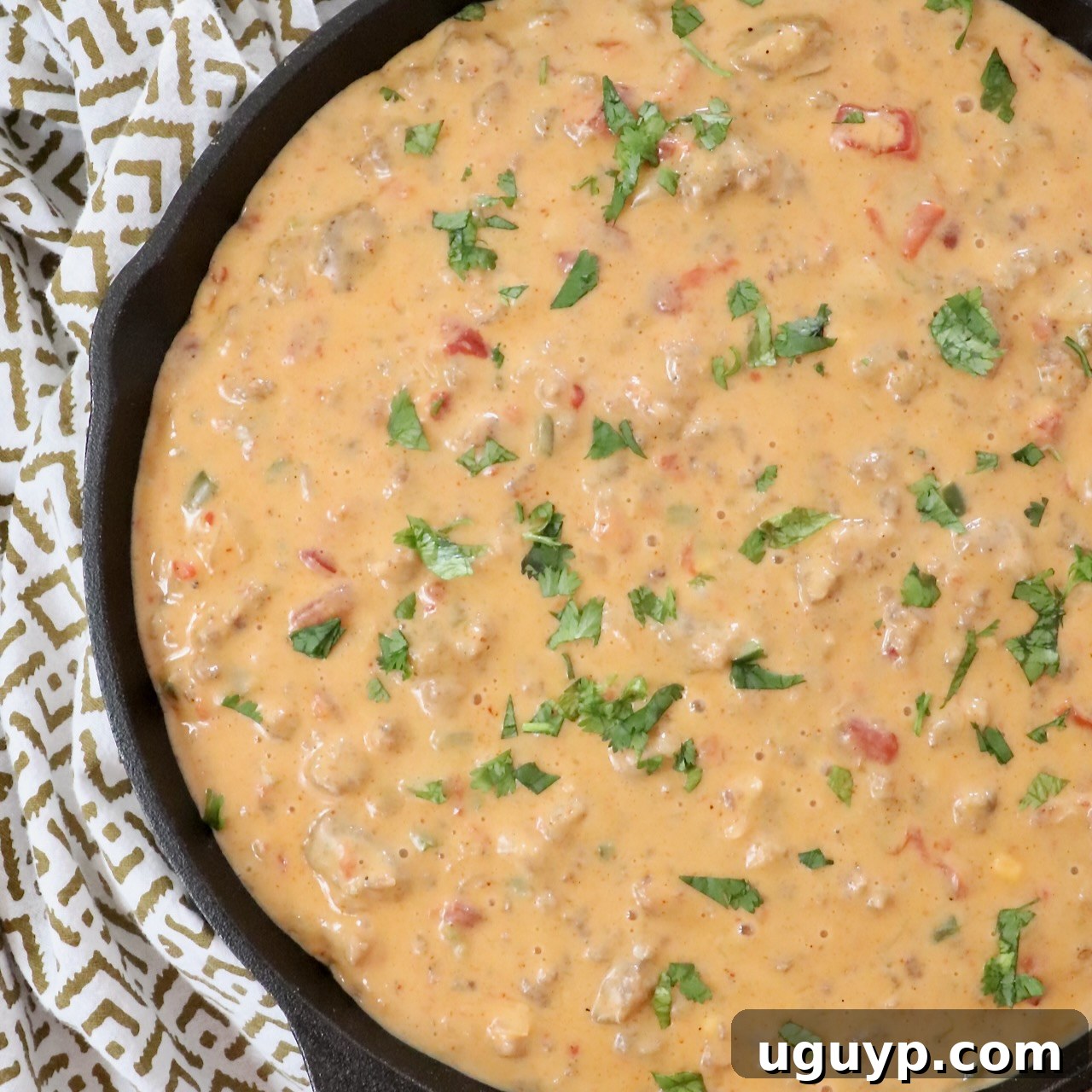 smoked queso dip in a skillet topped with fresh cilantro