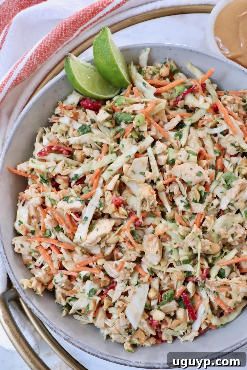 A vibrant Thai chicken salad in a bowl with shredded cabbage, carrots, peanuts, and cilantro. Two lime wedges are on top, and a creamy Thai peanut dressing is elegantly served on the side, ready to be drizzled.