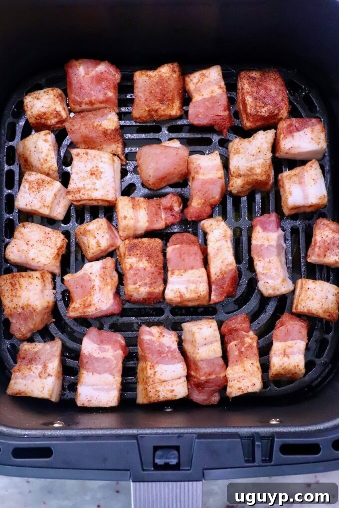 Cubed pork belly pieces, seasoned with a rich spice blend, are meticulously spread in a single, even layer across the basket of an air fryer. The pink and golden hues of the seasoned meat indicate it's perfectly prepped and ready for its crisping transformation.