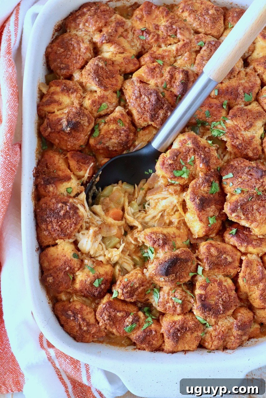 Golden-brown biscuits topped with herbs cover a hearty chicken and vegetable pot pie in a white dish. A spoon reveals the warm, savory filling.